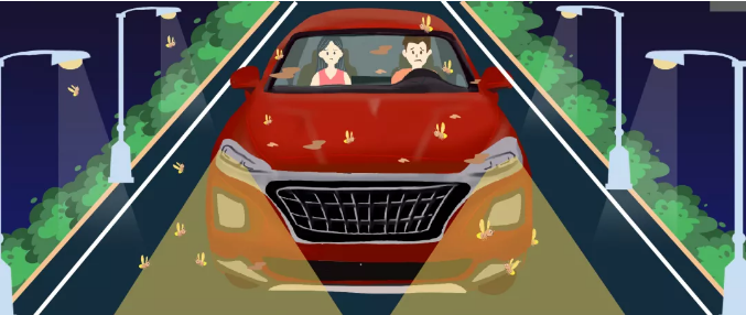 安全清除車身飛蟲(chóng)，僅需十分鐘